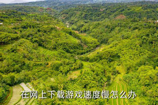 手游電腦版下載慢怎么辦，電腦下載游戲慢怎么辦...